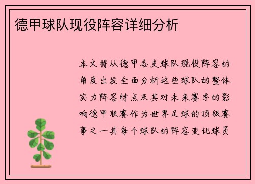 德甲球队现役阵容详细分析